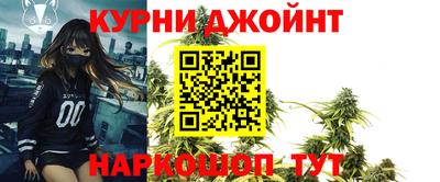гашик Боровичи