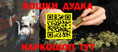 гашик Боровичи