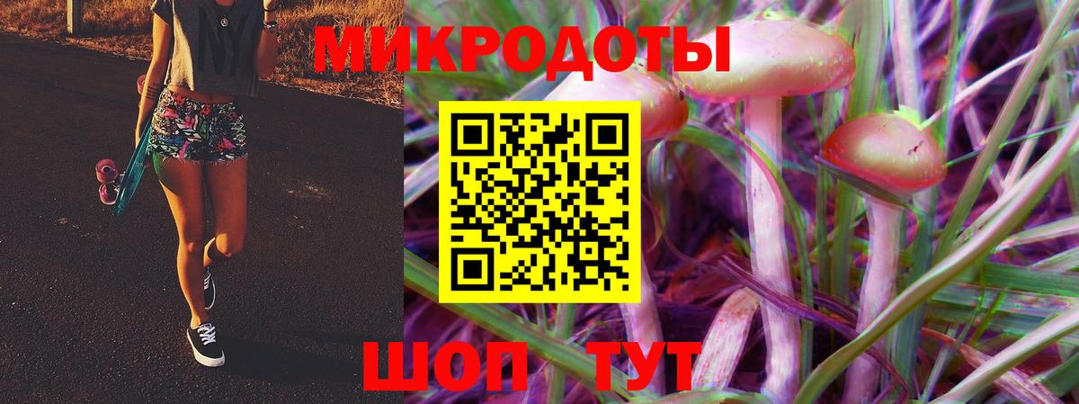 Галлюциногенные грибы Cubensis  Вход с VPN  Жуковский  Псилоцибиновые грибы прущие грибы 
